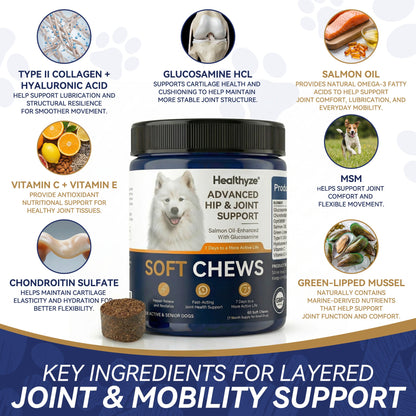 Advanced Hip & Joint Support Soft Chews-TK 2