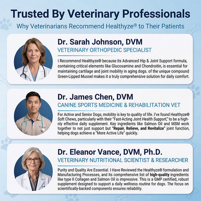 Advanced Hip & Joint Support Soft Chews-TK 2