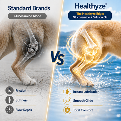 Advanced Hip & Joint Support Soft Chews-TK 2