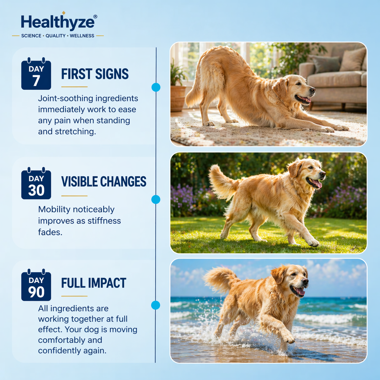 Advanced Hip & Joint Support Soft Chews-TK 2