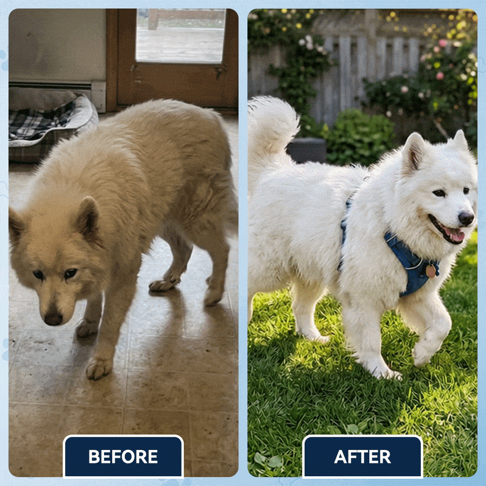 Advanced Hip & Joint Support Soft Chews-TK 2
