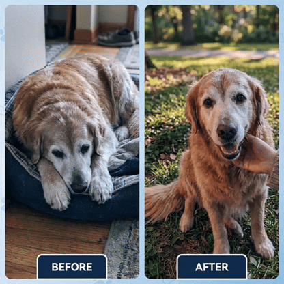 Advanced Hip & Joint Support Soft Chews-TK 2