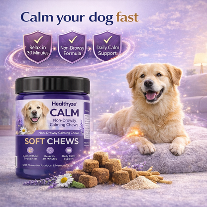 Healthyze Calm Soft Chews