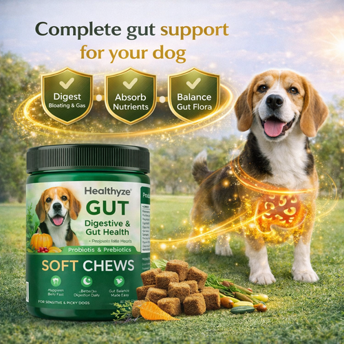 Healthyze Gut Soft Chews